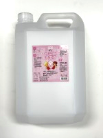 可令斯(乙醇75%)4L*6桶/箱