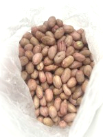 北港生花生(務必冷凍)