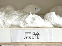 (荷蘭)馬蹄粉(25公斤)