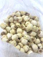 大蓮子-中國-(5A)(需冷藏)