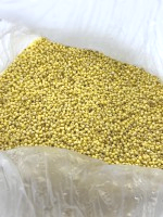黃糯小米50斤/袋(需冷藏)
