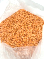 美國紅扁豆25k/袋(需冷藏)