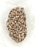 青鷹油花豆50斤/袋(需冷藏)